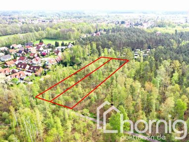 Land-/Forstwirtschaft zum Kauf 999 € 8.127 m² Grundstück Bernsdorf Bernsdorf / Heide 02994