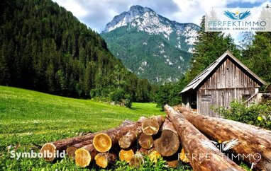 Land-/Forstwirtschaft zum Kauf 85.671,40 € Arzl im Pitztal 6471