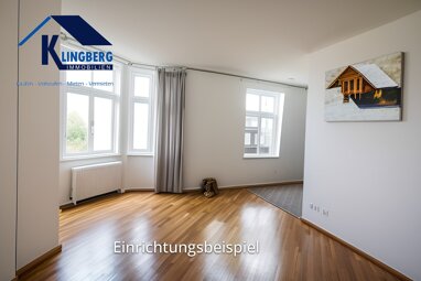 Apartment zur Miete 242 € 2 Zimmer 43,4 m² Brüderstraße 15 Zeitz Zeitz 06712