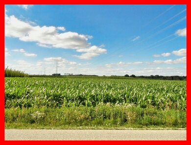 Landwirtschaftliche Fläche zum Kauf 155.000 € 11.016 m² Grundstück Geisenfeld Geisenfeld 85290