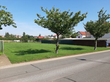 Grundstück zum Kauf Provisionsfrei 32.900 € 745 m² Grundstück Trebitz Bad Schmiedeberg 06905