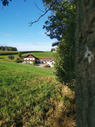 Bauernhof zum Kauf 30.000 m² Grundstück Außenbereich Mehlmühle Dorfen 84405