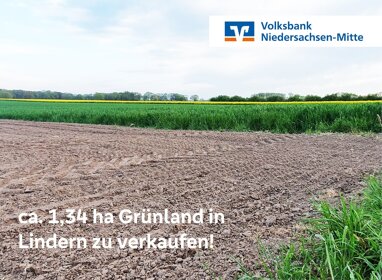 Land-/Forstwirtschaft zum Kauf 13.408 m² Grundstück Sulingen Sulingen / Lindern 27232