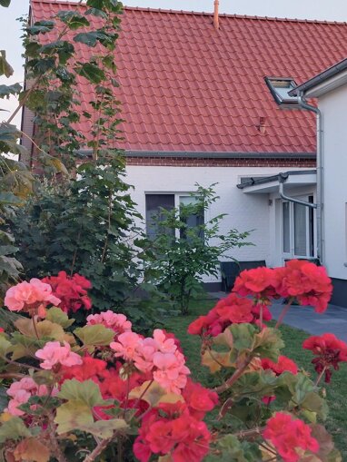 Doppelhaushälfte zum Kauf Provisionsfrei 255.000 € 6 Zimmer 196 m² 646 m² Grundstück Lübz Lübz 19386
