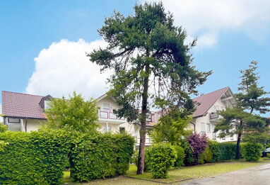 Wohnung zum Kauf 255.000 € 2 Zimmer 50 m² 1. Geschoss Farchet Wolfratshausen 82515