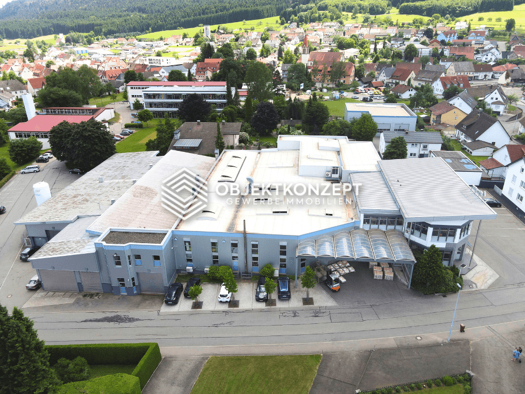 Lagerhalle zur Miete provisionsfrei 3.941 m² Lagerfläche Wehingen 78564