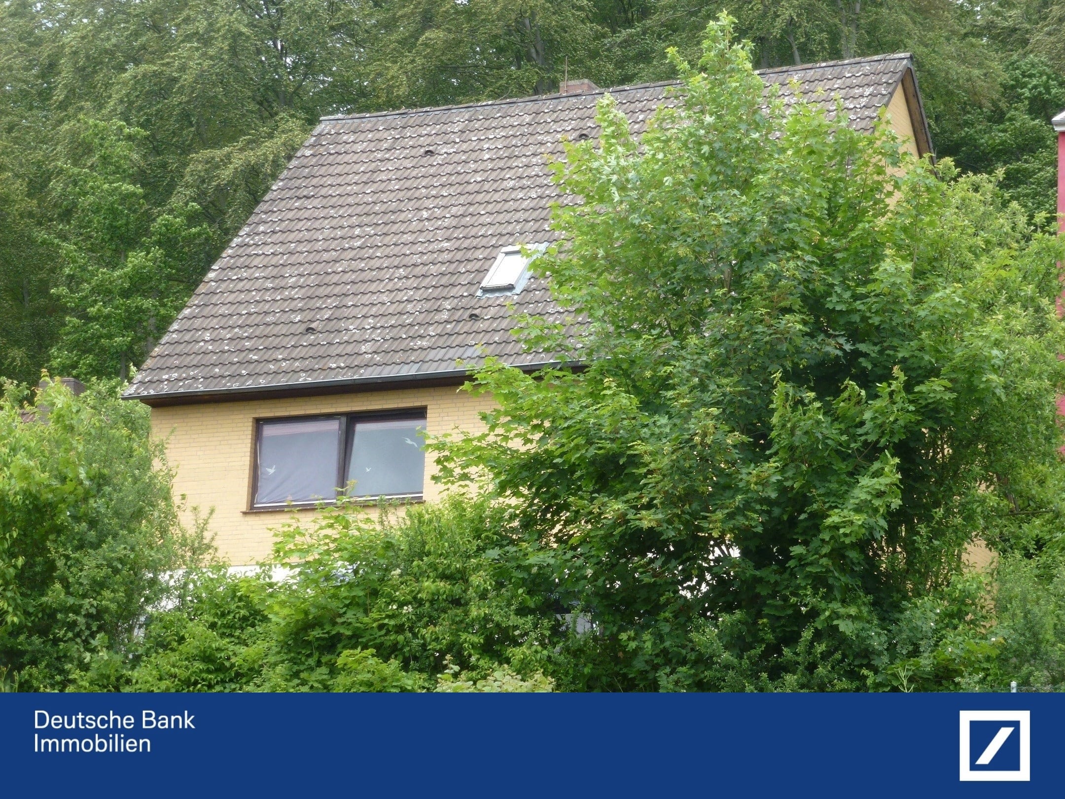 Einfamilienhaus zum Kauf 159.000 € 6 Zimmer 180 m²<br/>Wohnfläche 917 m²<br/>Grundstück Bad Gandersheim Bad Gandersheim 37581