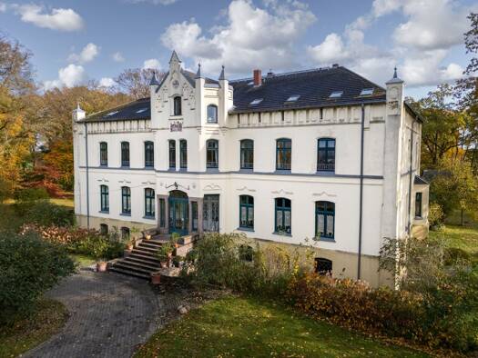 Schloss zum Kauf 1.190.000 € 24 Zimmer 719 m² 32.535 m² Grundstück Alt Vorwerk Boddin / Alt Vorwerk 17179