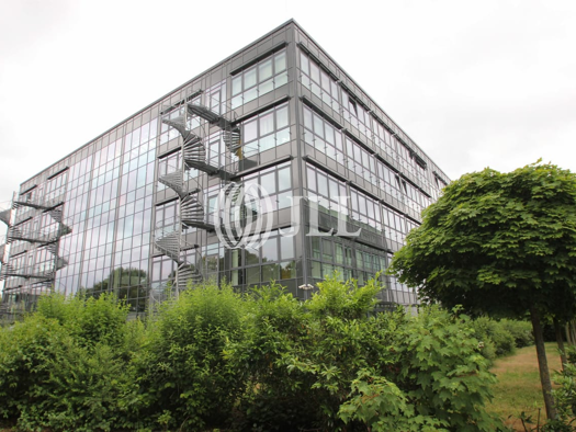Bürofläche zur Miete 11,90 € 515 m² Bürofläche Hattersheim Hattersheim am Main 65795