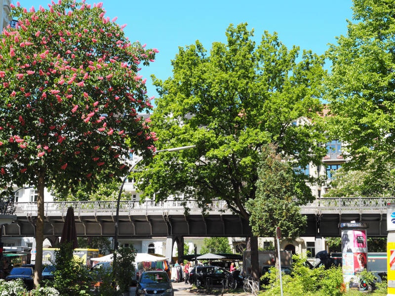 Haus zum Kauf