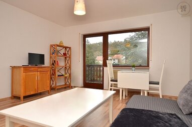 Wohnung zur Miete Wohnen auf Zeit 845 € 2 Zimmer 48 m² frei ab 01.06.2024 Höchberg 97204