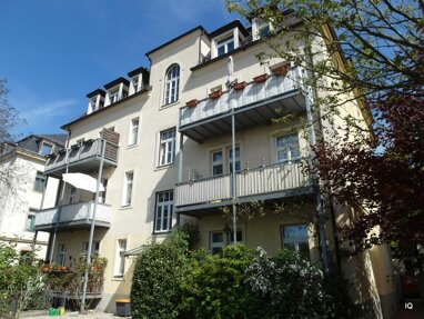 Wohnung zur Miete 350 € 1,5 Zimmer 44 m² 1. Geschoss Hubertusstraße 39 Pieschen-Nord (Duckwitzstr.) Dresden 01129