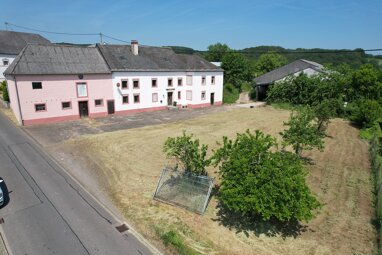 Bauernhaus zum Kauf 139.000 € 250 m² 1.473 m² Grundstück Hauptstraße 22 Altscheid Altscheid 54636