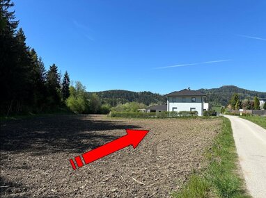 Grundstück zum Kauf 47.200 € 800 m² Grundstück Liebenfels 9556