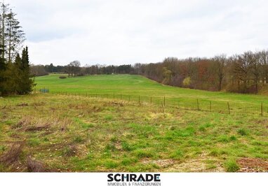 Bauernhaus zum Kauf 165.000 € 6 Zimmer 140 m² 90.001 m² Grundstück Wendischhorst Dähre 29413
