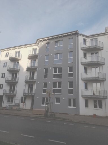 Wohnung zur Miete 692 € 2 Zimmer 53 m² Erdgeschoss Tribseer Damm 21/22 Triebseer Vorstadt Stralsund 18437