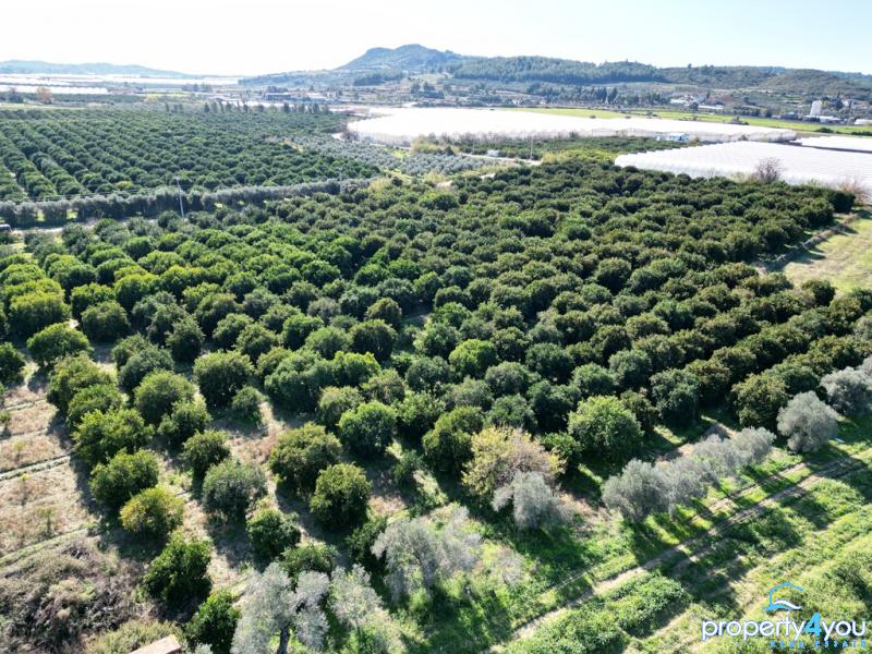 Land-/Forstwirtschaft zum Kauf 1.000.000 € 29.000 m²<br/>Grundstück Manavgat 07550