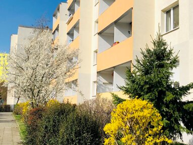 Wohnung zur Miete 302,50 € 2 Zimmer 56,8 m² 4. Geschoss Jamboler Straße 32 Südstadt Halle (Saale) 06130