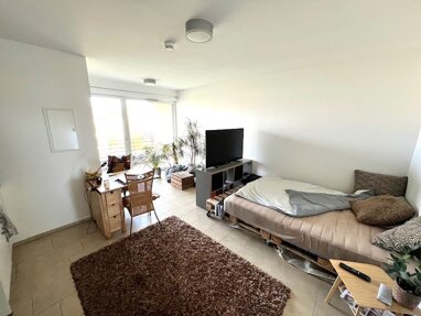 Apartment zur Miete 440 € 1 Zimmer 28,3 m² Rudi-Schillings-Straße 33 Neu-Kürenz 1 Trier 54296