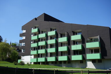 Wohnung zum Kauf 55.000 € 2 Zimmer 46,7 m² 3. Geschoss Hahnenklee Goslar 38644