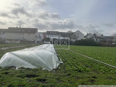 Land-/Forstwirtschaft zum Kauf 25.000 € 868 m² Grundstück Oberrad Frankfurt 60599