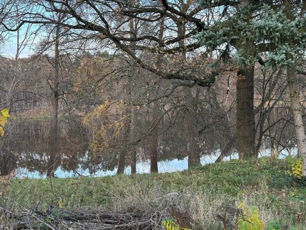 Einfamilienhaus zum Kauf 875.000 € 3 Zimmer 86 m² 3.935 m² Grundstück Gallun Mittenwalde OT Krummensee 15749