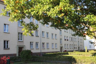 Wohnung zur Miete 376,53 € 3 Zimmer 60,7 m² 1. Geschoss Turnstr. 9 Altdöbern Altdöbern 03229