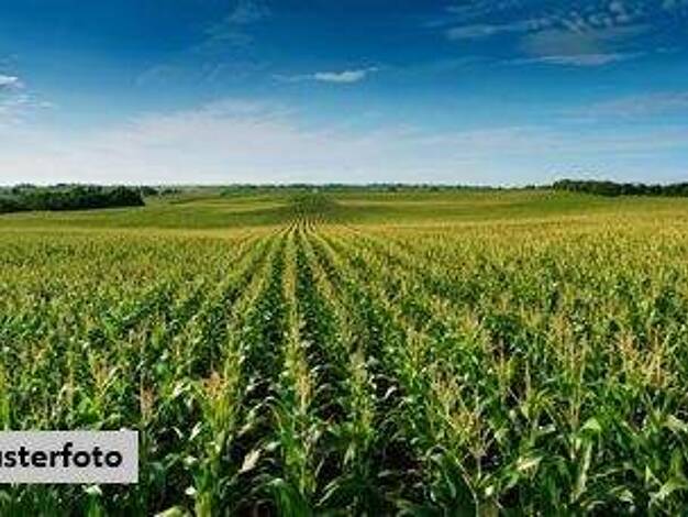 Land-/Forstwirtschaft zum Kauf 12.800 € 4.621 m² Grundstück Feldrennach Straubenhardt 75334