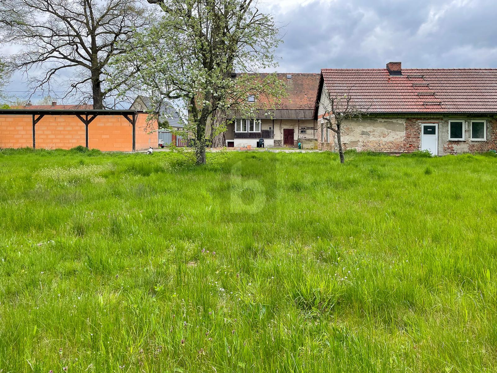 Einfamilienhaus zum Kauf 149.000 € 8 Zimmer 90 m²<br/>Wohnfläche 2.242 m²<br/>Grundstück Großrössen Falkenberg/Elster 04895