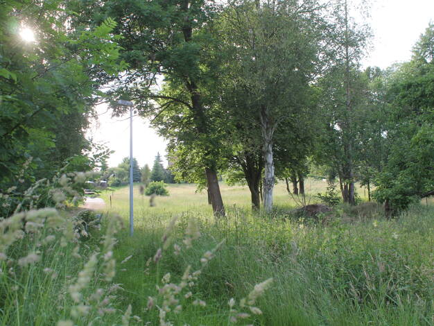 Einfamilienhaus zum Kauf 28.000 € 4 Zimmer 80 m² 1.260 m² Grundstück frei ab sofort Untere Dorfstraße 94 Bischdorf Rosenbach 02708