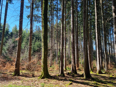 Land-/Forstwirtschaft zum Kauf 120.000 € 14.210 m² Grundstück Perchting Starnberg 82319