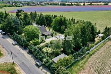 Einfamilienhaus zum Kauf 1.290.000 € 2 Zimmer 100 m² 5.237 m² Grundstück Zeestower Weg 4 Zeestow Brieselang 14656