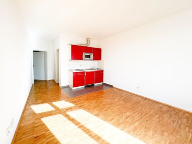 Wohnung zur Miete 230 € 1 Zimmer 20,6 m² 3. Geschoss frei ab 01.09.2024 Bernburger Straße 18 Nördliche Innenstadt Halle 06108