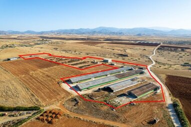 Land-/Forstwirtschaft zum Kauf 200.000 € 32.444 m² Grundstück Nicosia