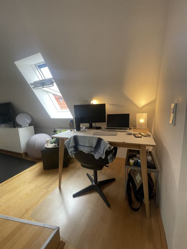 Wohnung zur Miete 395 € 1 Zimmer 41 m² 4. Geschoss Schäffbräustraße 10 Altstadt - Südwest Ingolstadt 85049