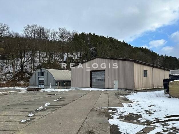 Halle/Industriefläche zur Miete provisionsfrei 12.050 m² Lagerfläche teilbar ab 800 m² Dresden 01328