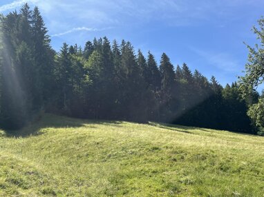 Land-/Forstwirtschaft zum Kauf 60.000 € 13.390 m² Grundstück Forst Oberstaufen 87534