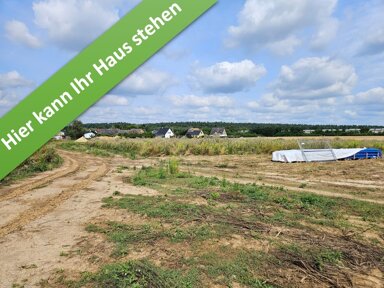 Einfamilienhaus zum Kauf provisionsfrei 376.750 € 5 Zimmer 124 m² 679 m² Grundstück Am Tierpark Essehof Lehre 38165