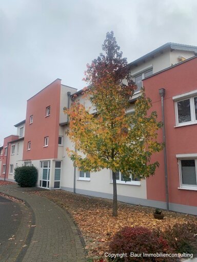 Wohnung zum Kauf 260.000 € 2 Zimmer 70,1 m² EG Bad Neuenahr Bad Neuenahr-Ahrweiler 53474