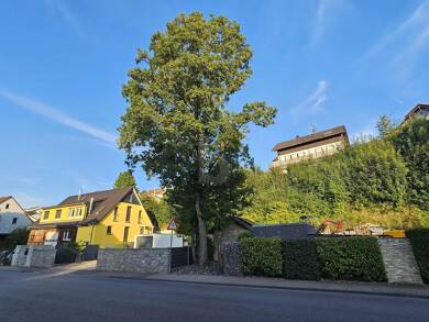Grundstück zum Kauf 515.000 € 907 m² Grundstück Kleinbottwar Steinheim an der Murr 71711