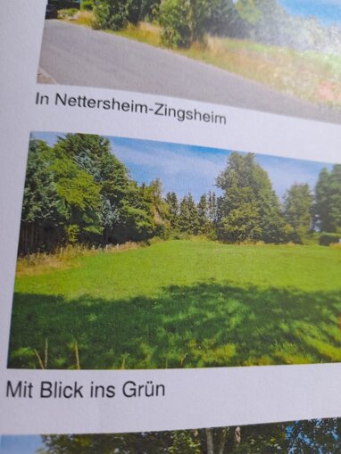 Grundstück zum Kauf 170.000 € 1.656 m² Grundstück Zingsheim Nettersheim 53947