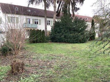 Wohnung zur Miete 439 € 1 Zimmer 24 m² frei ab 17.01.2025 Am Posthorn 24 Bockenheim Frankfurt am Main 60486