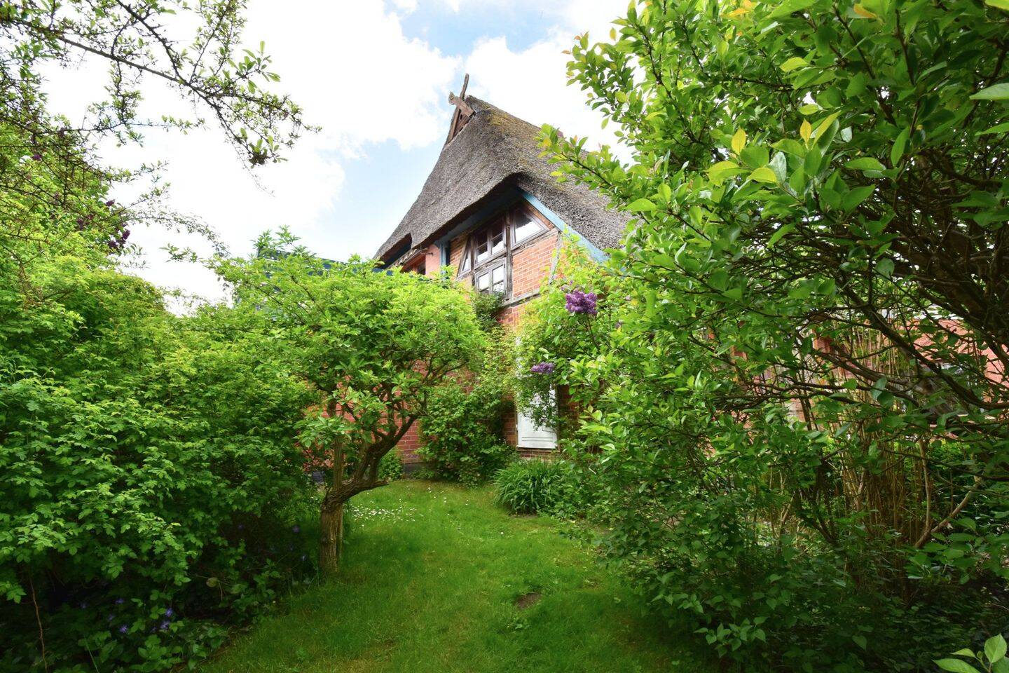 Wohnung zur Miete