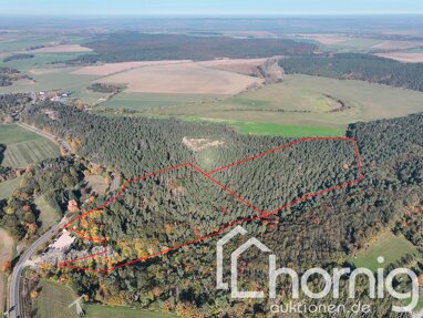 Land-/Forstwirtschaft zum Kauf 85.900 € 125.055 m² Grundstück Blankenburg Blankenburg 38889