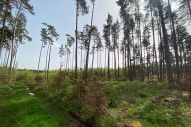 Land-/Forstwirtschaft zum Kauf 69.000 € 30.774 m² Grundstück Feuchtwangen Feuchtwangen 91555