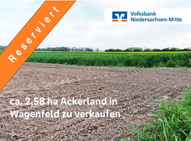 Land-/Forstwirtschaft zum Kauf 25.884 m² Grundstück Wagenfeld Wagenfeld 49419