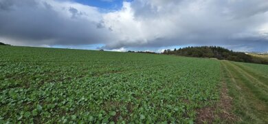 Freizeitgrundstück zum Kauf Oberbrombach 55767