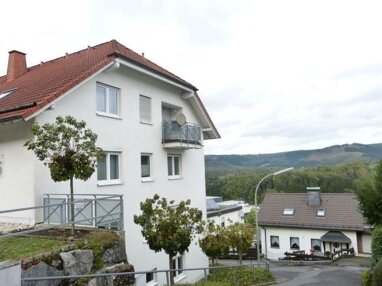 Wohnung zur Miete 245,31 € 2 Zimmer 58 m² Bergmecke 5 Freienohl Meschede 59872
