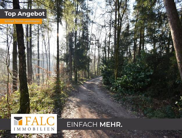 Haus zum Kauf 15.000 € 3 Zimmer 60 m² 2.000 m² Grundstück Lipperreihe Oerlinghausen 33813