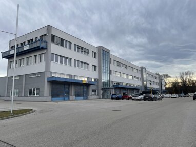 Büro-/Praxisfläche zur Miete 9,97 € 6 Zimmer Aumühlweg 21 Enzesfeld-Lindabrunn 2544